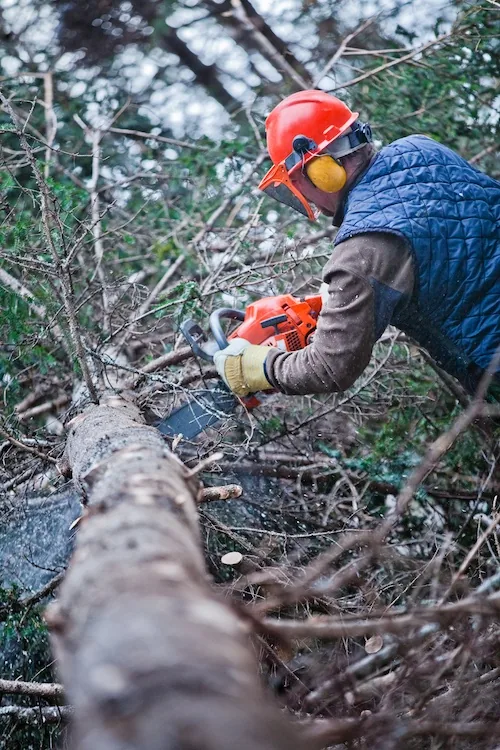 Land Clearing