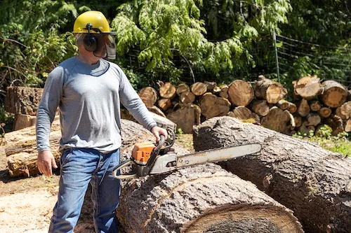 Tree Lopping & Pruning
